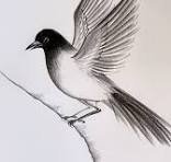 Florist and Artistry image